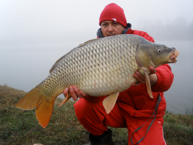 Resized PB030020.jpg