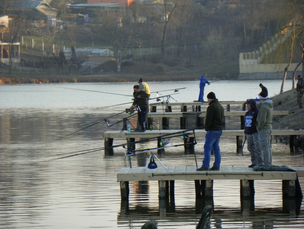 100_0220.jpg