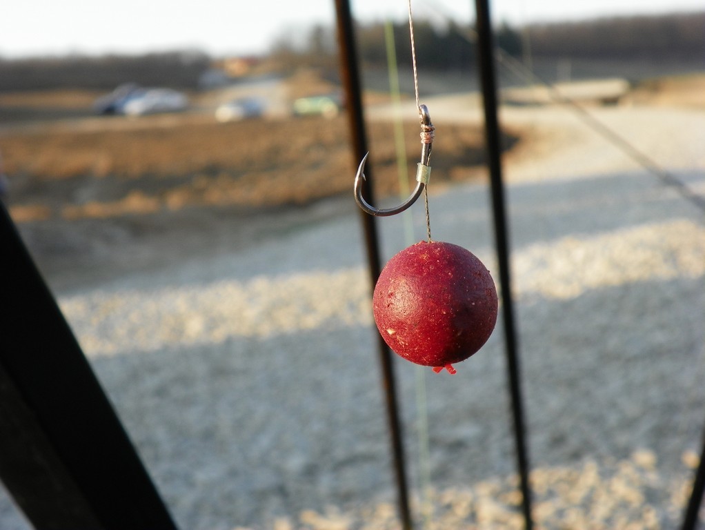 100_0211.jpg