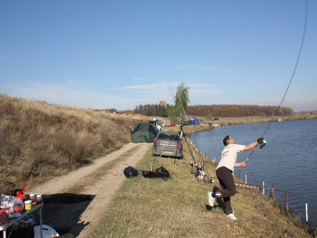 MV2-2010289.jpg